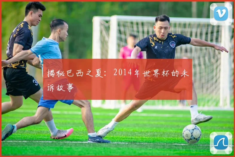 揭秘巴西之夏:2014年世界杯的未诉故事