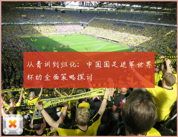 从青训到归化：中国国足进军世界杯的全面策略探讨